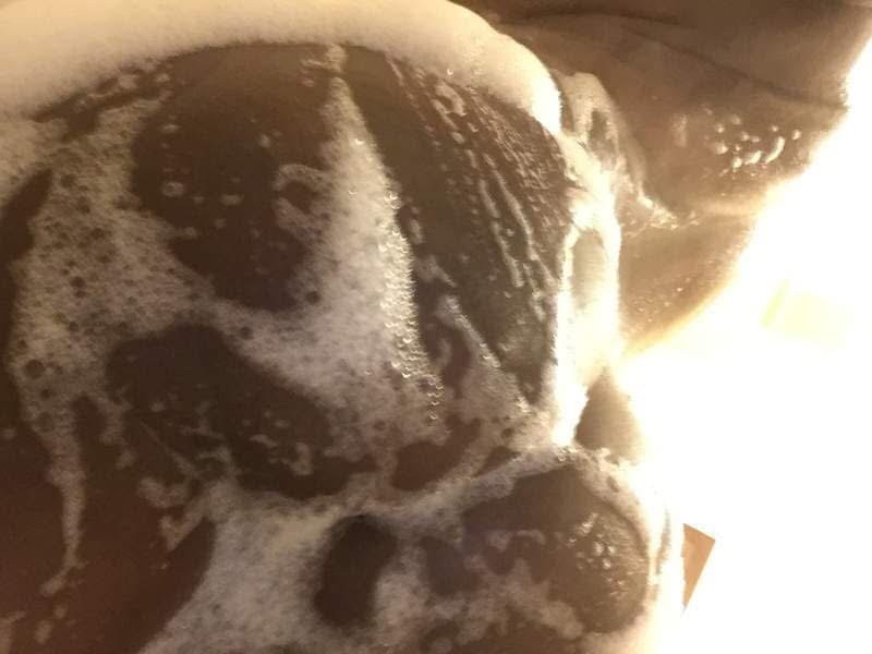 YOUR NEW SWEET TREAT HAS ARRIVED! ? ?INCALLS  ONLY ?? FACETIME SHOWS AVAILABLE? ‼PLEASE READ MY WHOLE ADD, Pensacola  YOUR NEW SWEET TREAT HAS ARRIVED! ? ?INCALLS  ONLY ?? FACETIME SHOWS AVAILABLE? ‼PLEASE READ MY WHOLE ADD, Pensacola