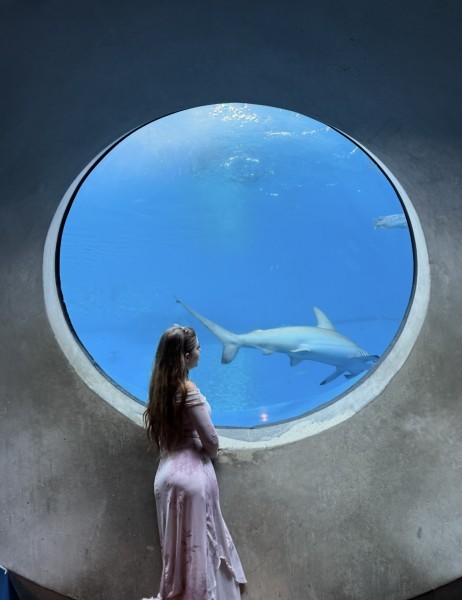 Star, Brickell Star, Brickell